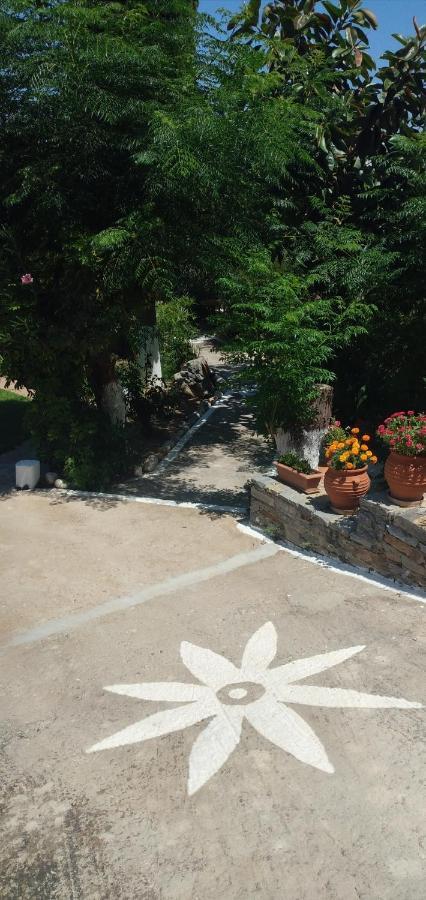 Athina Studio Apartments Κέρβελη Εξωτερικό φωτογραφία